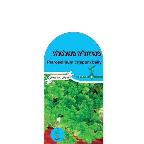 זרעי תבלין – פטרוזיליה מסולסלת